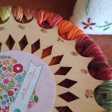 Load image into Gallery viewer, Valdani Embroidery THREAD STARTER PACK - Autumn Glow Stranded