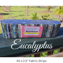 Load image into Gallery viewer, Rainbow Rolls - Eucalyptus