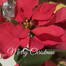 Load image into Gallery viewer, Hand painted - Christmas Tree Brooch.