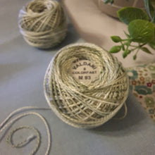 Load image into Gallery viewer, Valdani Perle 8 Embroidery Thread M 93 (M93)