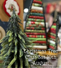 Load image into Gallery viewer, Christmas Strips Class Saturday 10th August 2024