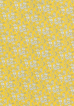 Load image into Gallery viewer, Liberty Tana Lawn Bespoke Capel 036359131X