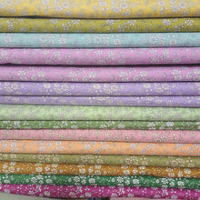 Load image into Gallery viewer, Alice's Wonderland Sampler Quilt KITS