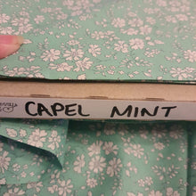 Load image into Gallery viewer, Liberty Tana Lawn Capel Mint (green) & Capel N (light blue)