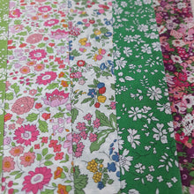 Load image into Gallery viewer, Alice's Wonderland Sampler Quilt KITS