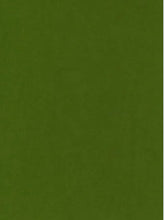 Load image into Gallery viewer, Wool Felt Sheet Colour No. 79 Frog Green