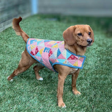 Load image into Gallery viewer, Patchwork Pooch (Dog Jacket) Pattern by Melly and Me