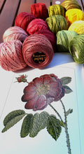Load image into Gallery viewer, Redoute's Finest Flowers in Embroidery