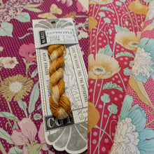 Load image into Gallery viewer, Cottage Garden Threads - Embroidery Threads Perle 8