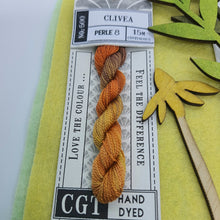 Load image into Gallery viewer, Cottage Garden Threads - Embroidery Threads Perle 8