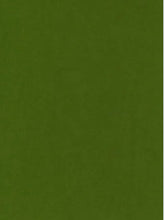 Load image into Gallery viewer, Wool Felt Sheet Colour No. 79 Frog Green
