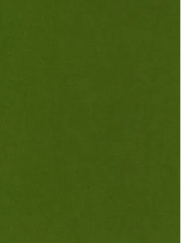 Wool Felt Sheet Colour No. 79 Frog Green