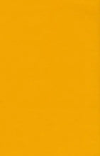 Load image into Gallery viewer, Wool Felt Sheet Colour No. 03 Corn Yellow
